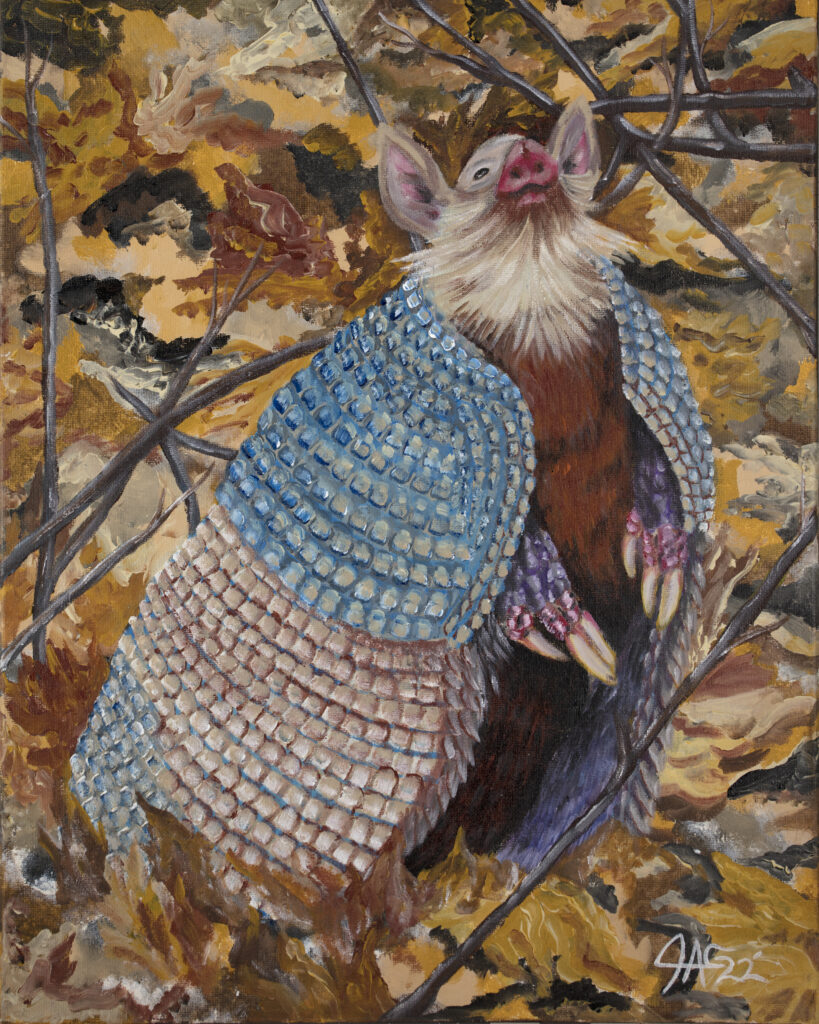 Is Somebody There Acrylic Painting of a Nine Banded Armadillo By The GYPSY
